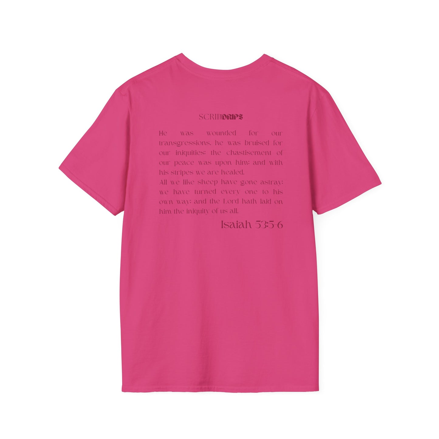 Unisex Softstyle T-Shirt | 'Took My Place and Yours' | Isaiah 53:5-6 | Scripture Tee